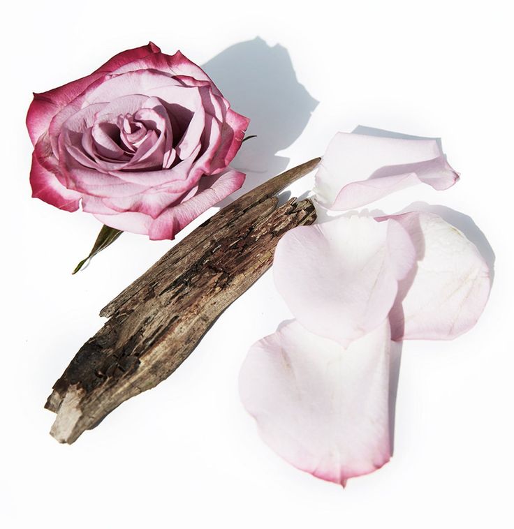Oud rose