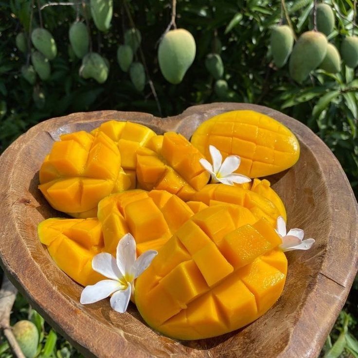 Mangue